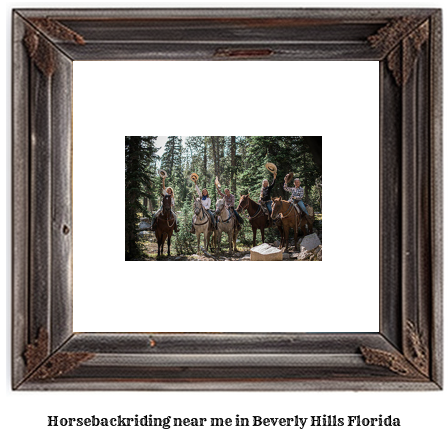 horseback riding near me in Beverly Hills, Florida